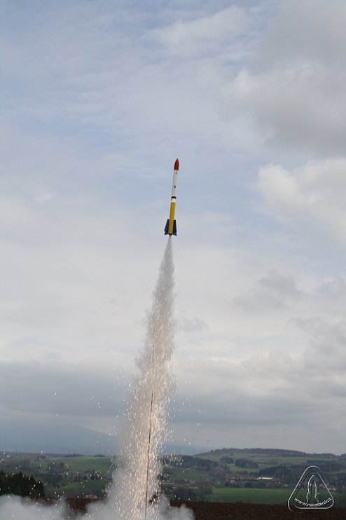 2013 Svojek Mirek Topinka